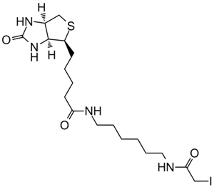 Iodoacetyl-LC-Biotin