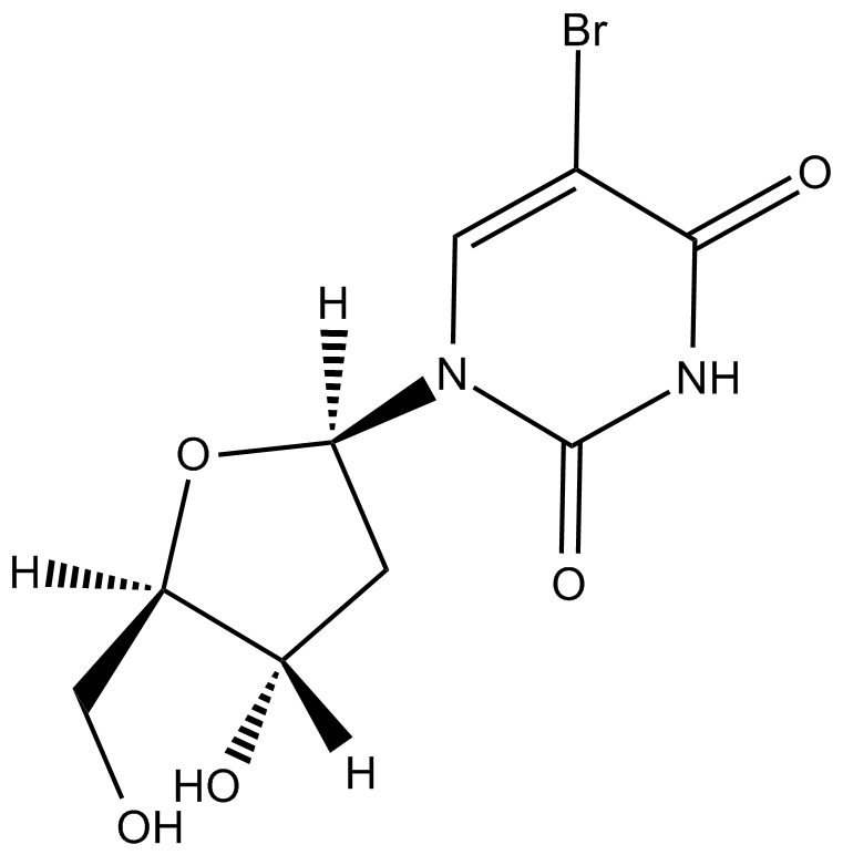 5-BrdU