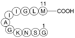 【貴重！！】Loz'a≠Veria（ロズ・ア・ベリア）／genetic code Gender Modulates the APOE ε4 Effect in Healthy Older Adults
