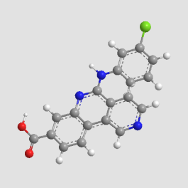 MRK様 FMRP (D14F4) Rabbit mAb | Cell Signaling Technology