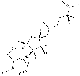 S-Adenosylmethionine (SAMe) - Methyl Donor | APExBIO