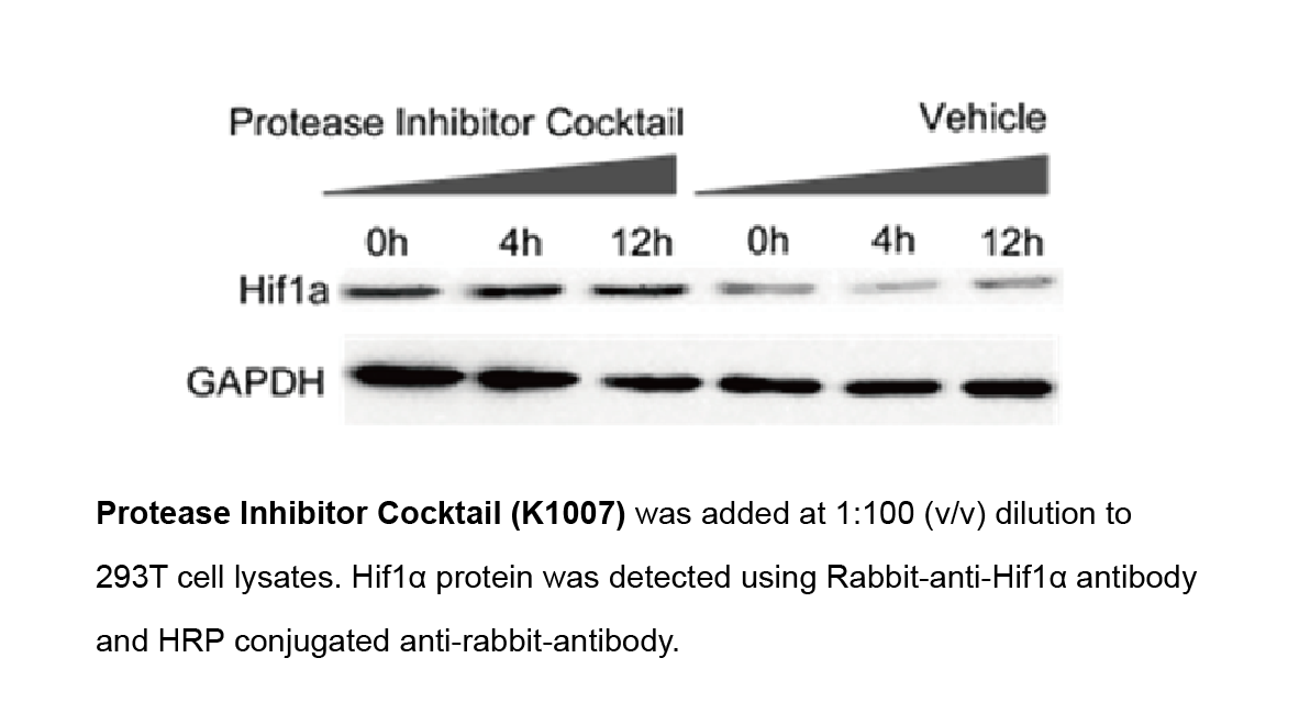 Protein Sample Preparation Validation