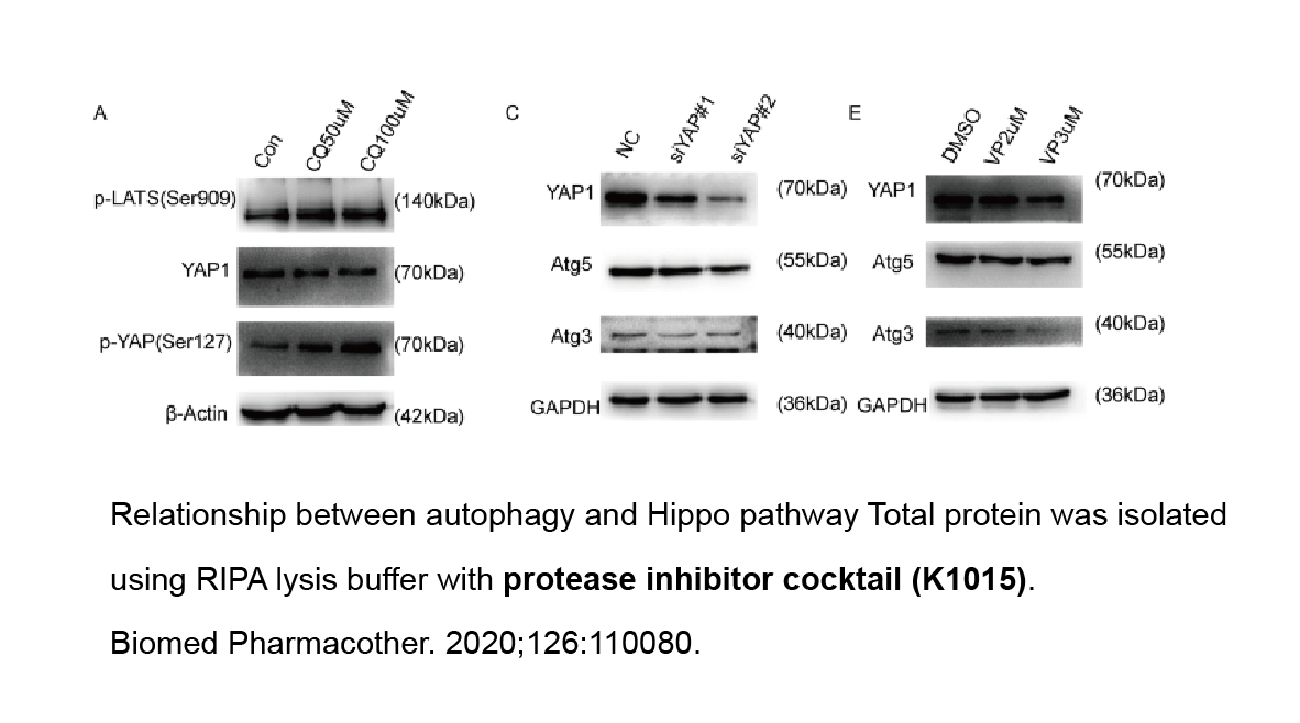 Protein Sample Preparation Validation