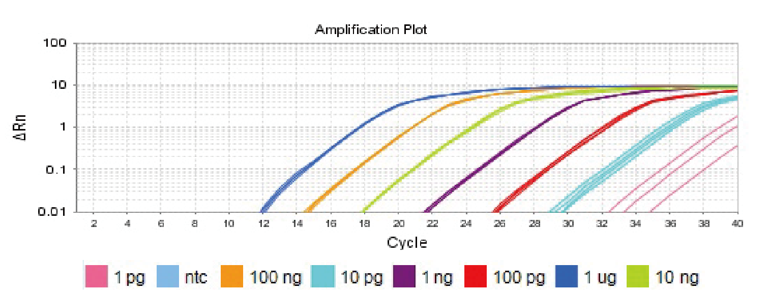 K1070 qPCR amplification curves across template dilutions