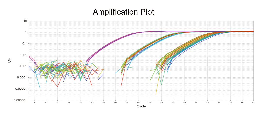 K1074 downstream qPCR amplification plot