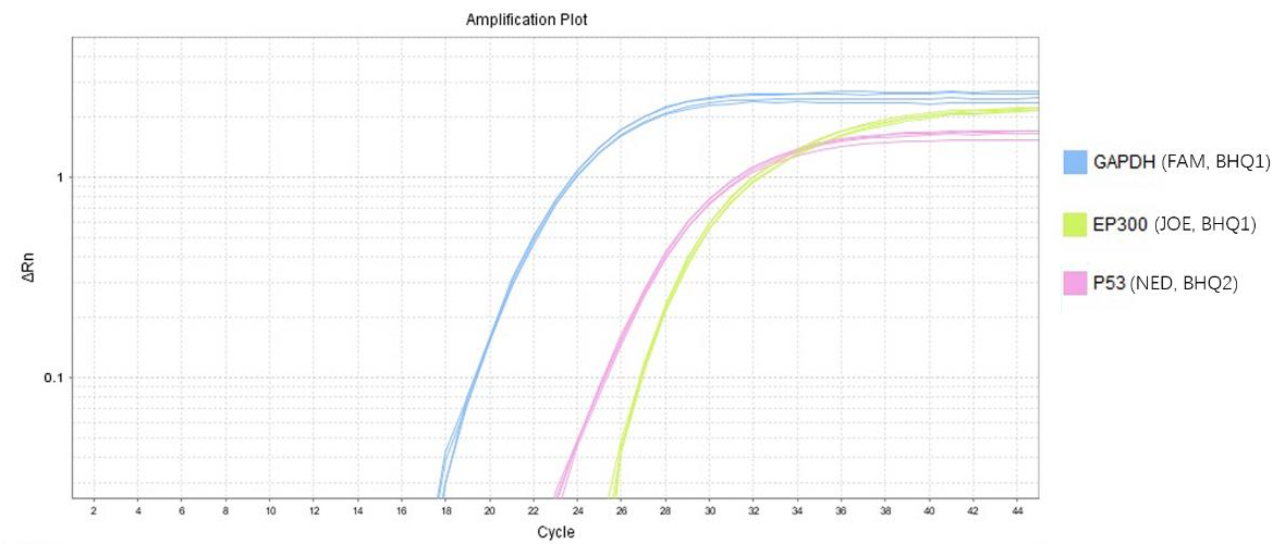 K1541 multiplex qPCR amplification curves