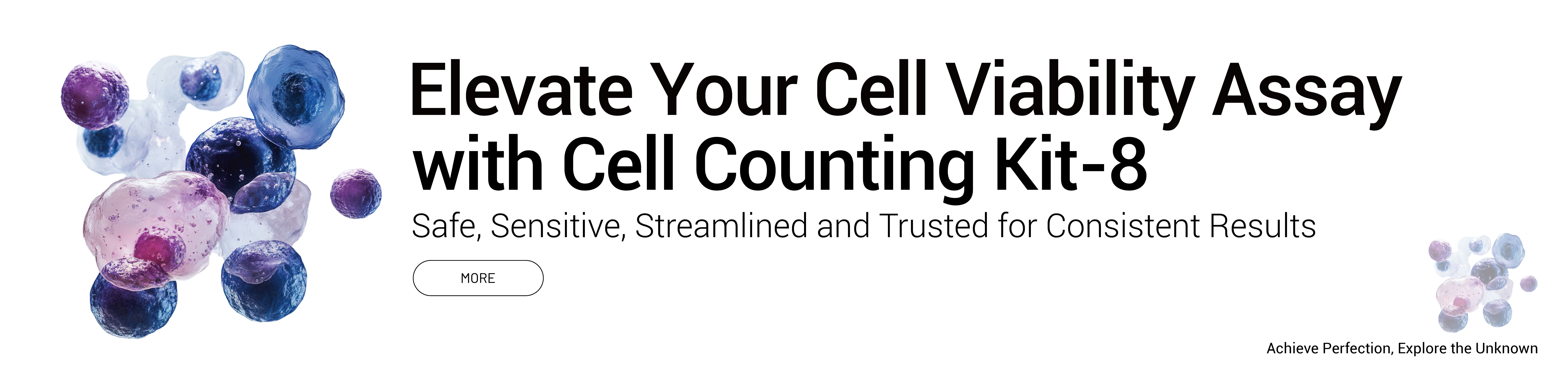 Cell Counting Kit-8