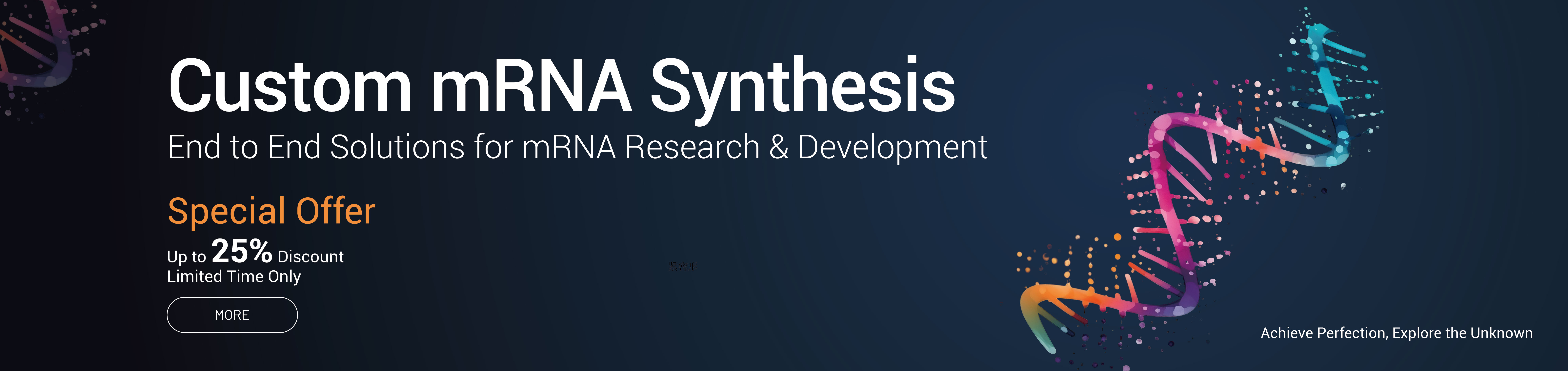 mRNA Synthesis