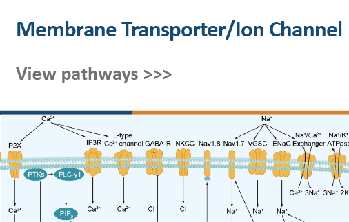 Membrane Transporter/Ion