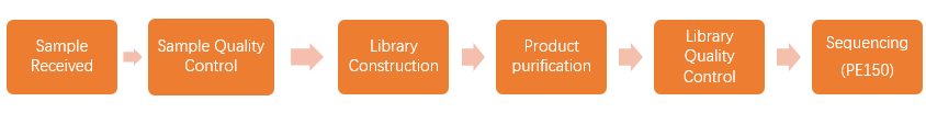 Experimental Procedures