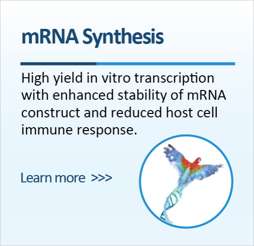 APExBIO: Achieve Perfection | Inhibitors, mRNA & Proteins