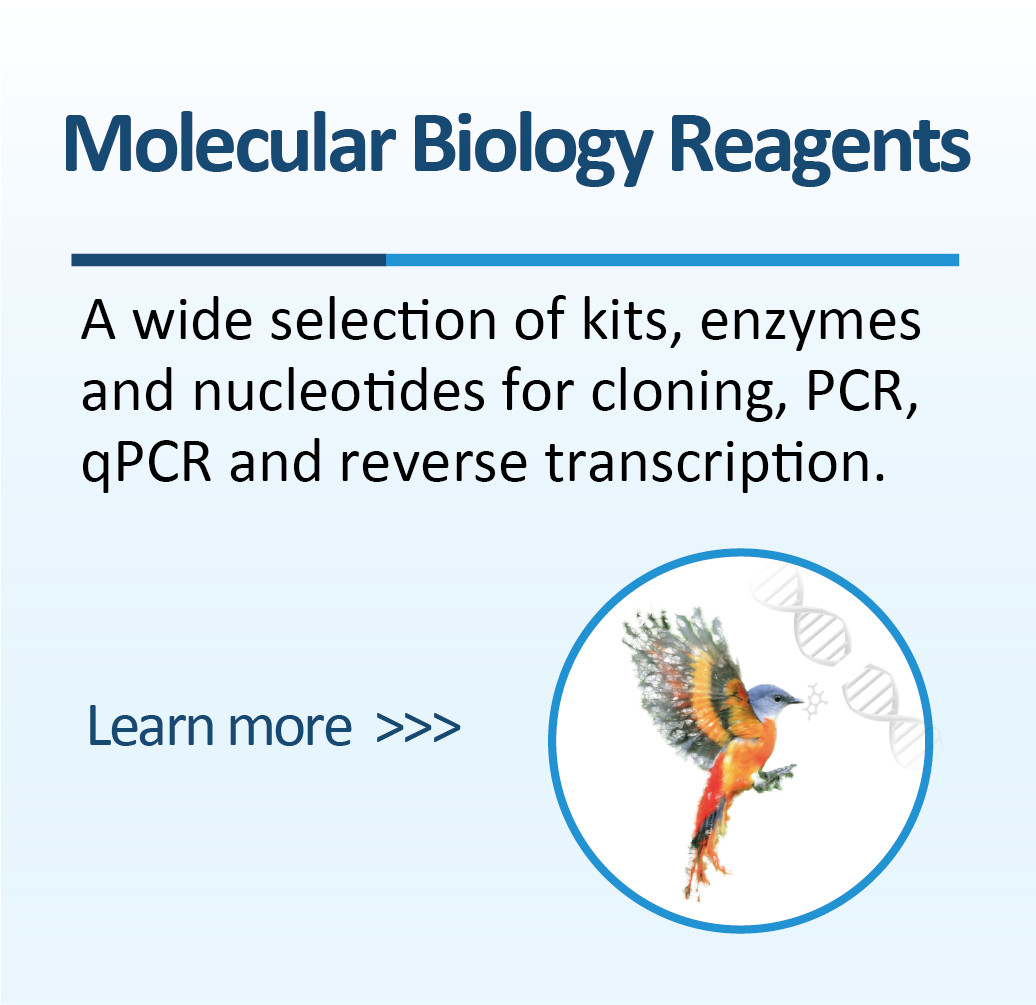 Molecular Biology Reagents