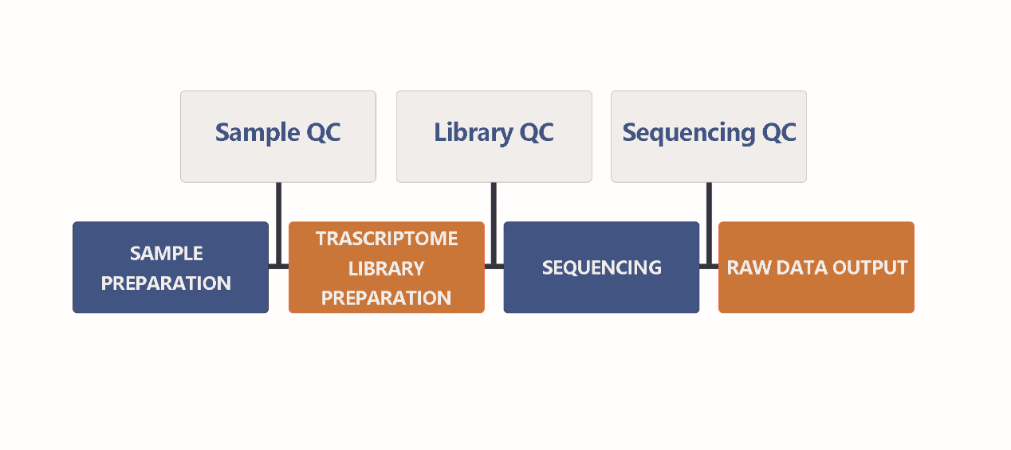 Figure 2.1