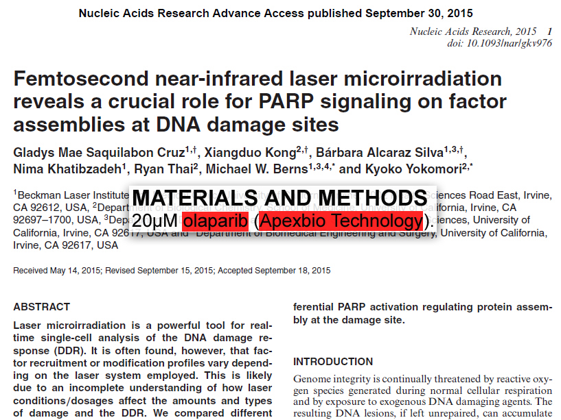 美国APExBIO中文官网 Olaparib (AZD2281, Ku0059436)Potent PARP1/PARP2