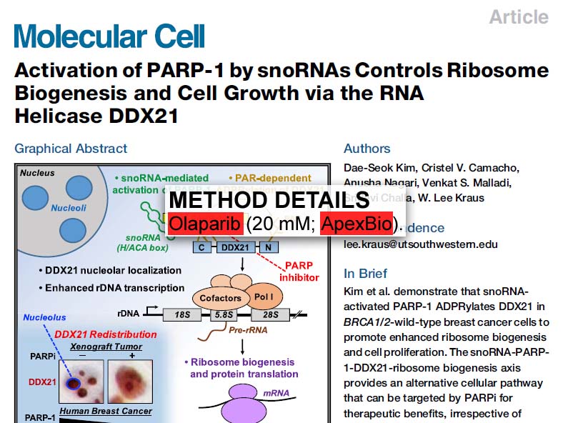 美国APExBIO中文官网 Olaparib (AZD2281, Ku0059436)Potent PARP1/PARP2