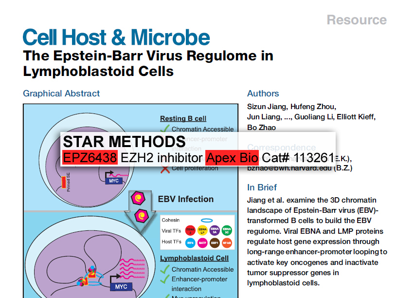 EPZ-6438 (Tazemetostat) – EZH2 Inhibitor | APExBIO