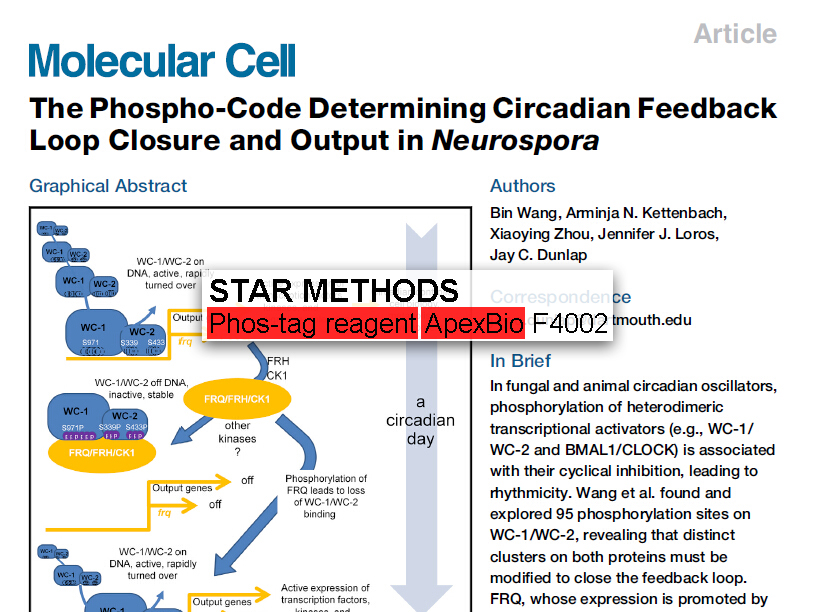APExBIO Phos binding reagent (Phosbind) acrylamide