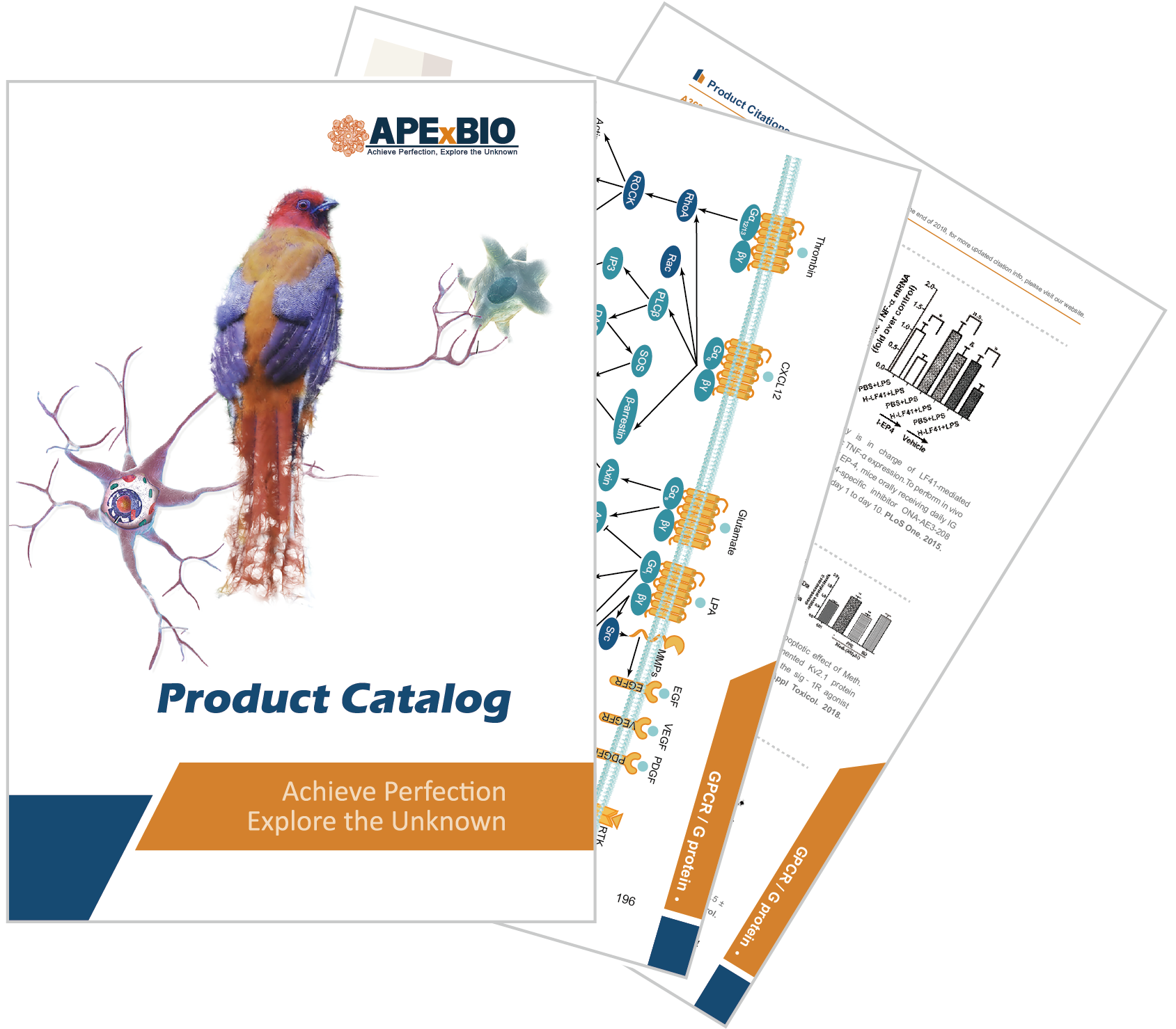 Product_catalog