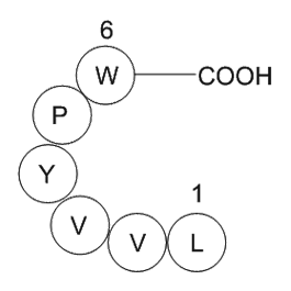 Myelopeptide-2 (MP-2)