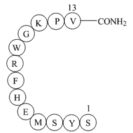 a-MSH, amide