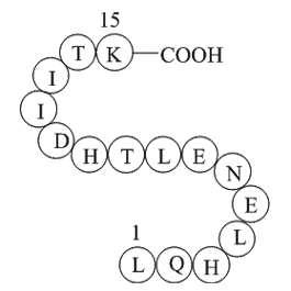 alpha-1 antitrypsin fragment