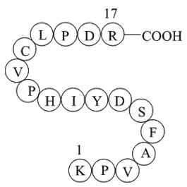 coagulation factor II (thrombin) B chain fragment [Homo sapiens]