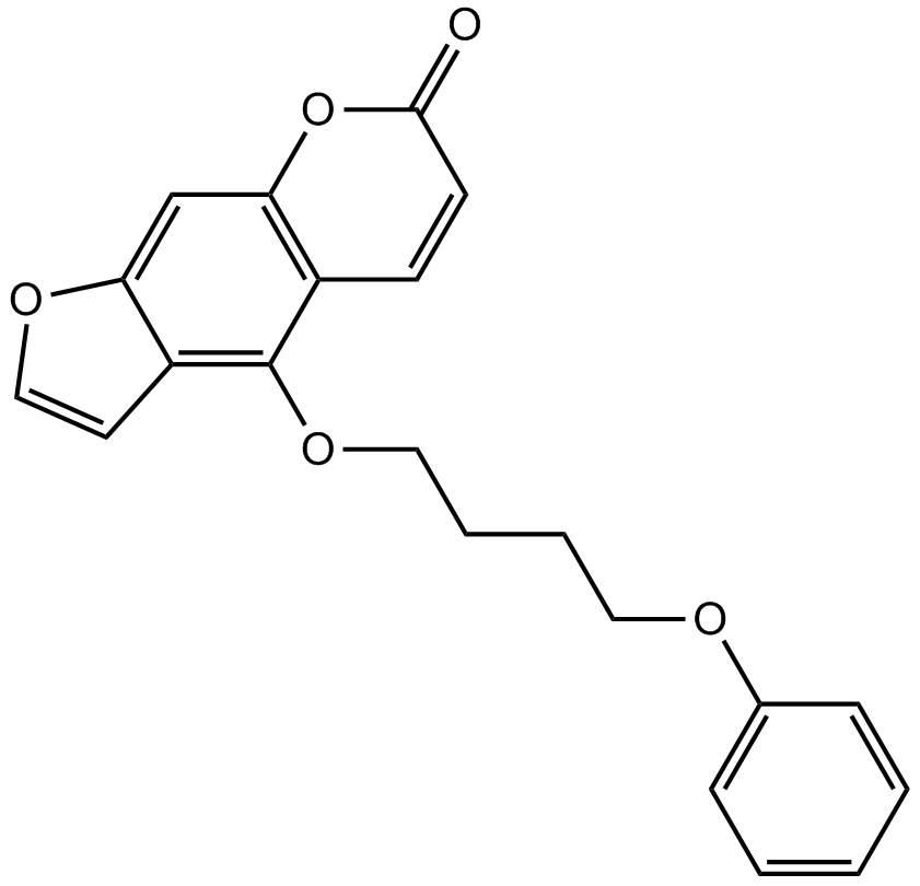 PAP-1