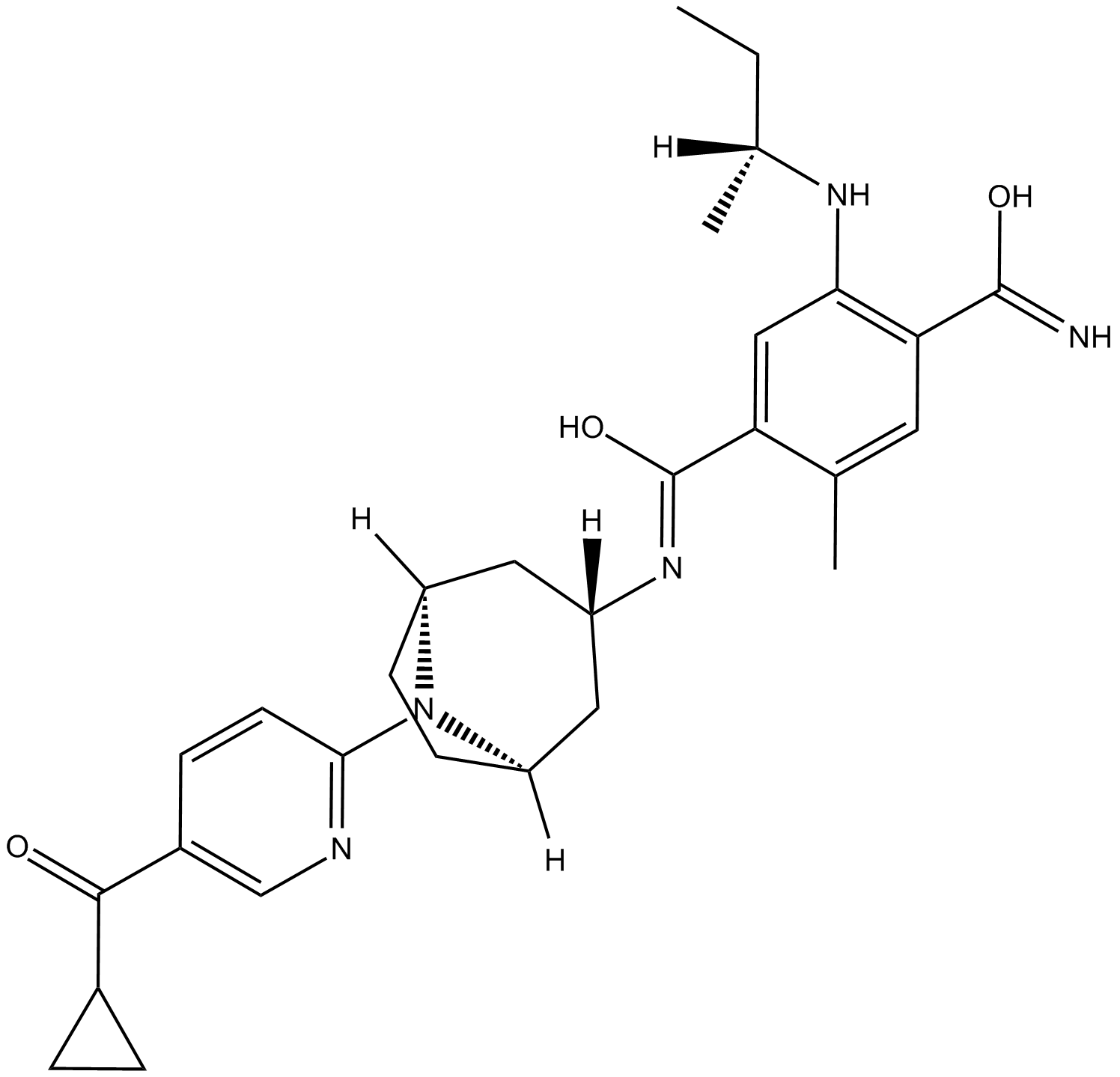 XL-888