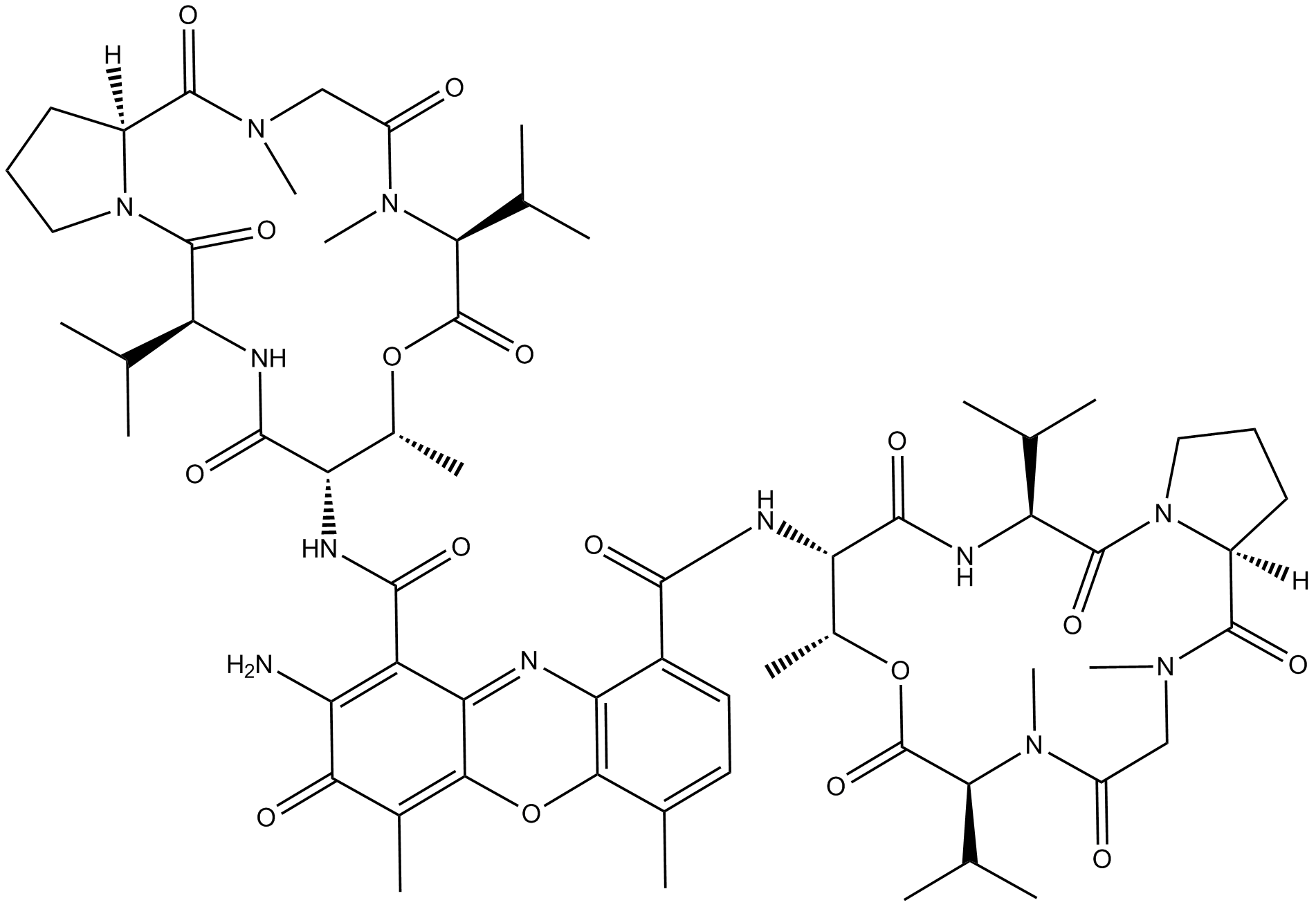 Actinomycin D