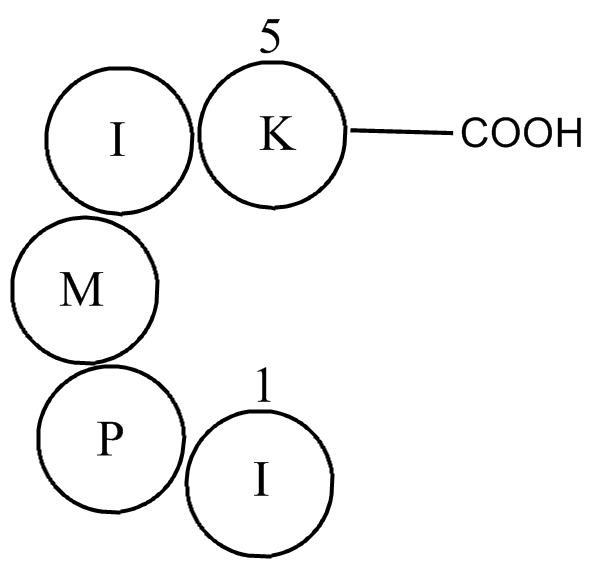 Bax inhibitor peptide, negative control
