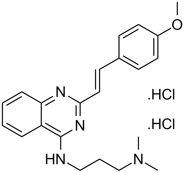 CP 31398 dihydrochloride