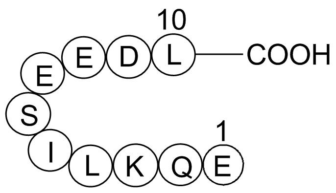 c-Myc tag Peptide