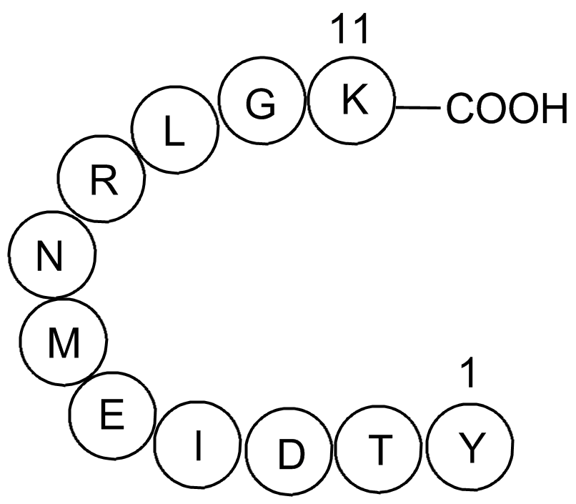 VSV-G Peptide