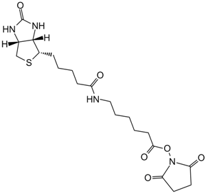 NHS-LC-Biotin