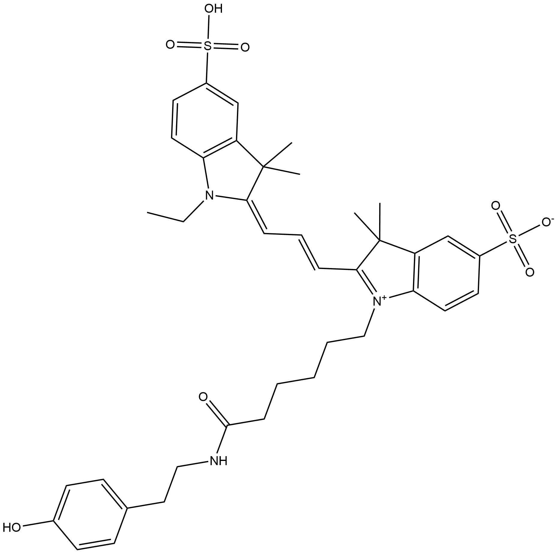Cyanine 3 Tyramide