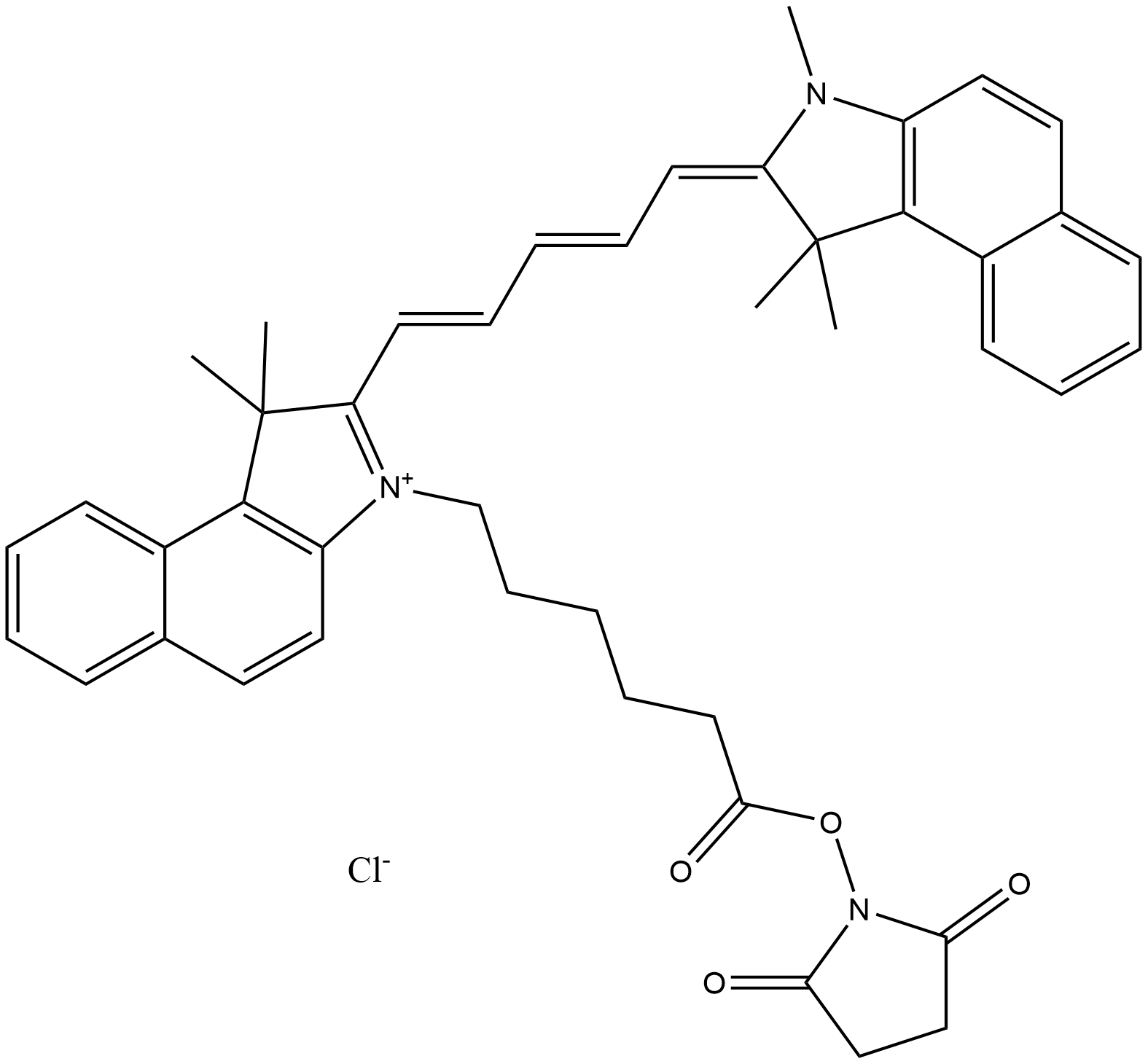 Cy5.5 NHS ester