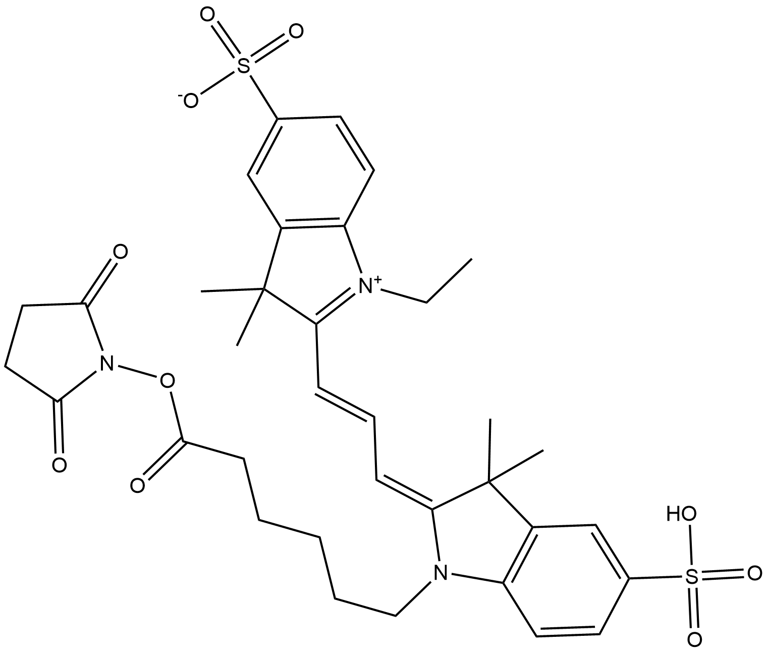 Cy3 NHS ester