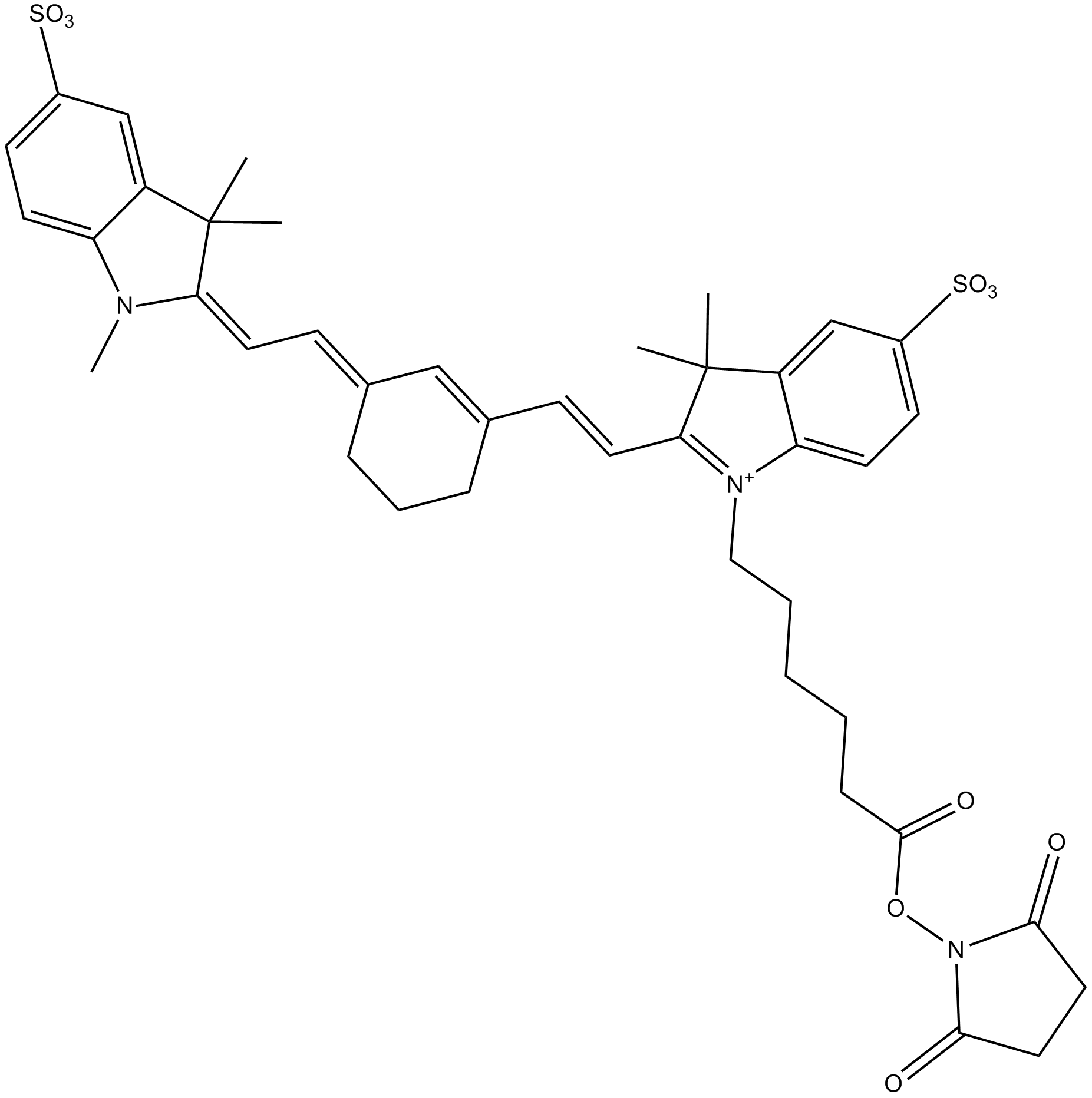 Cy7 NHS ester