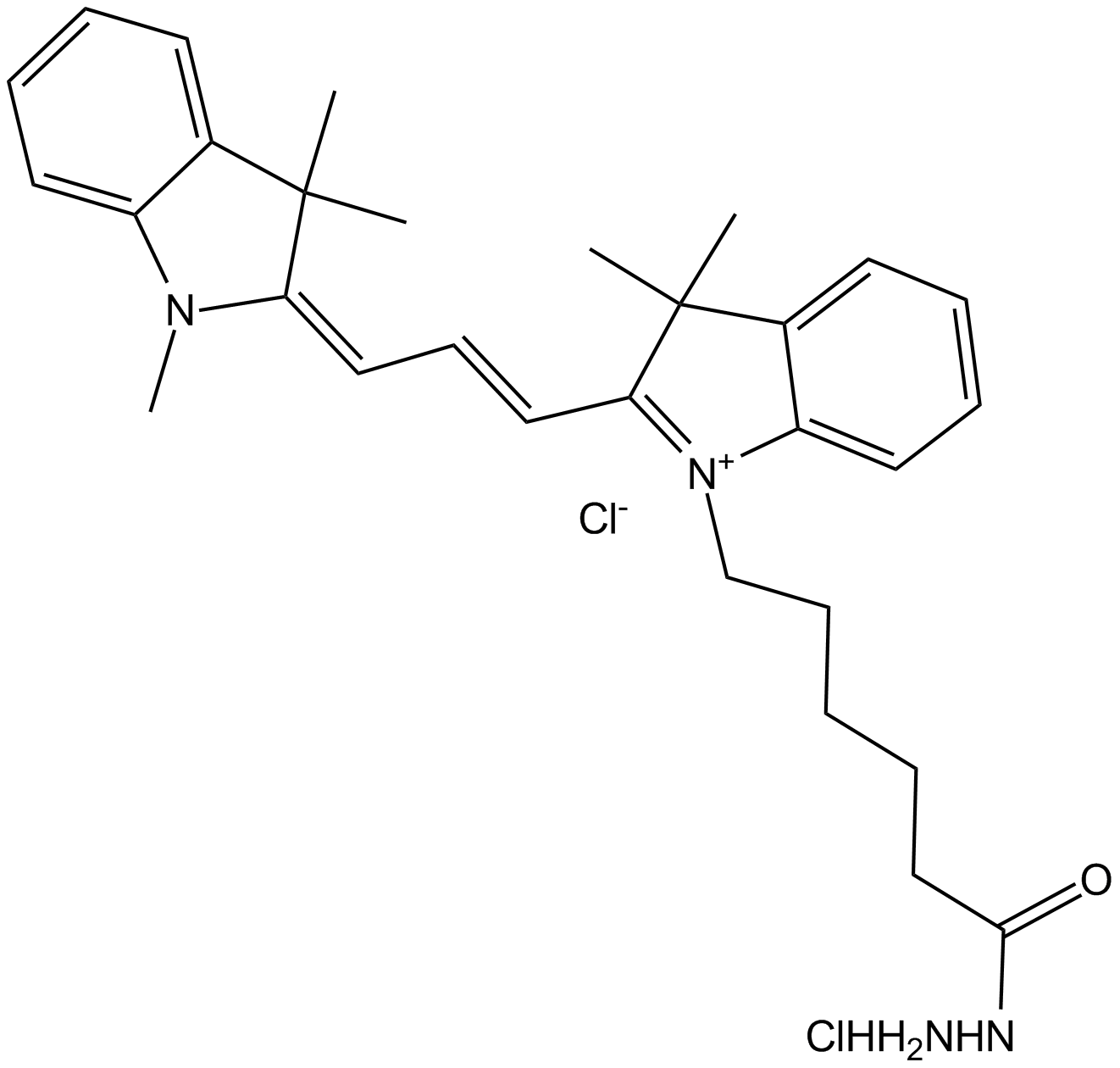 Cy3 hydrazide