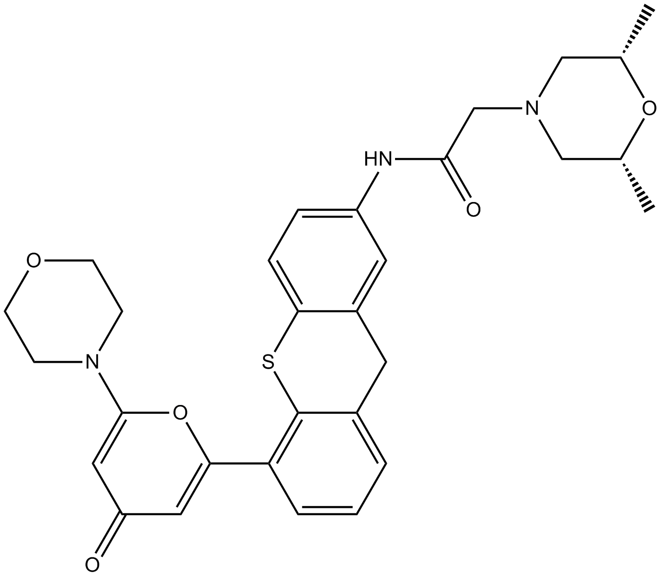 KU-60019