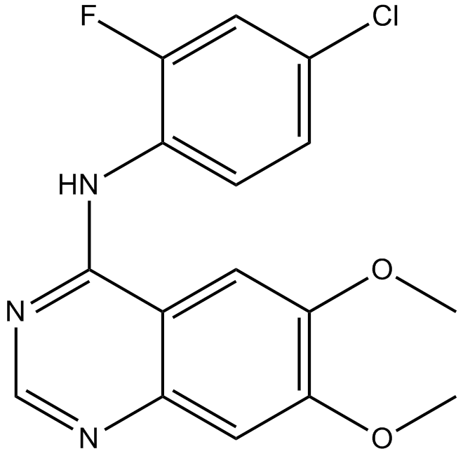 ZM 306416