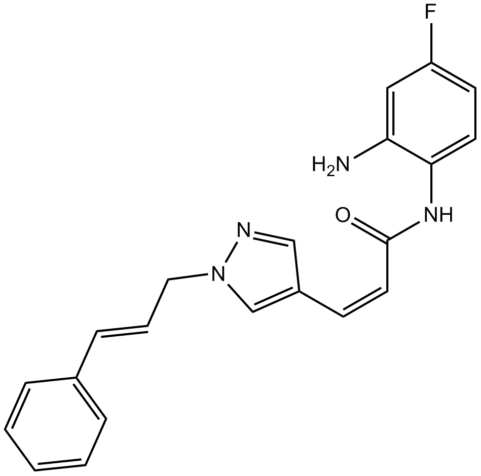 RGFP966