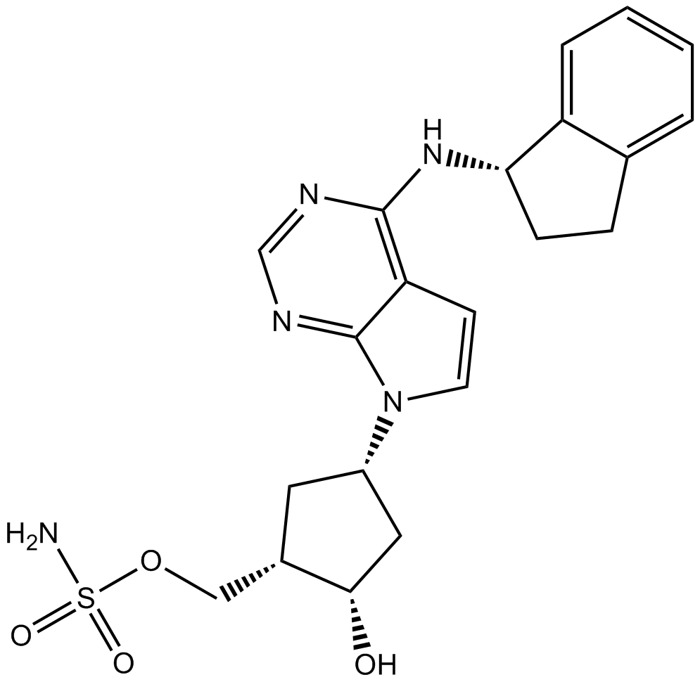 MLN4924