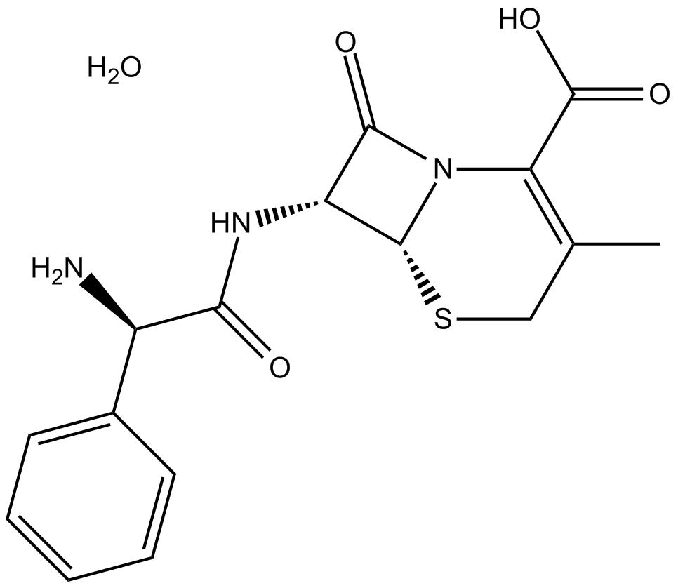 buy cenforce 25 mg online