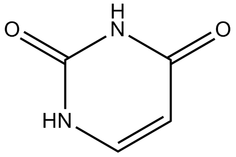 Uracil