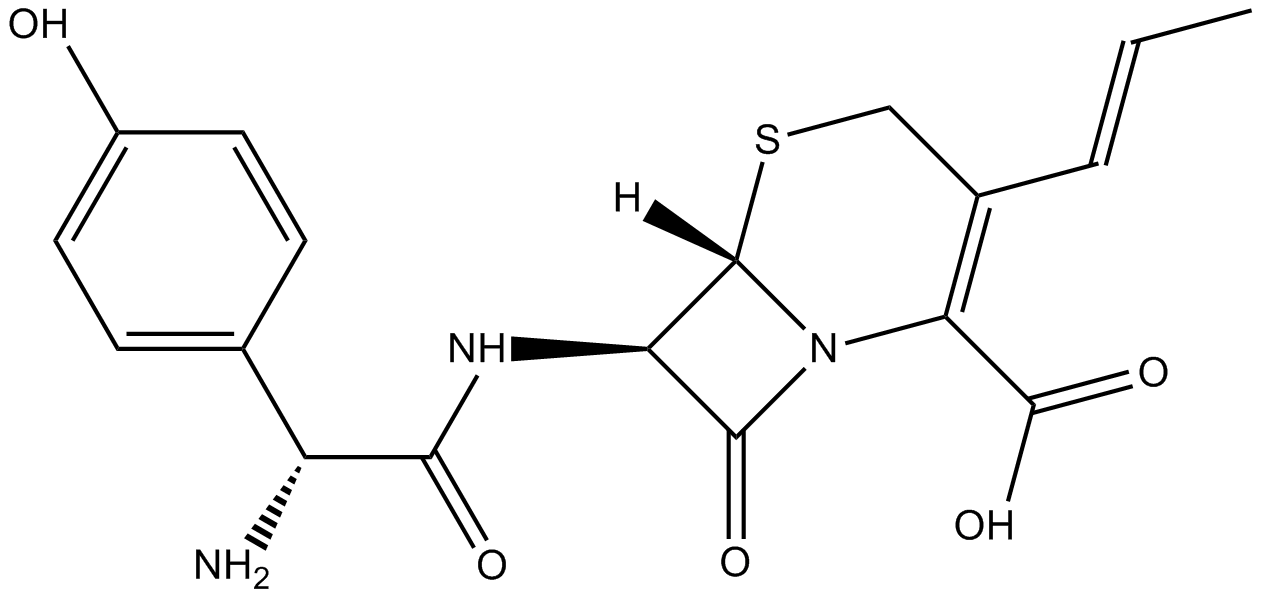 Cefprozil