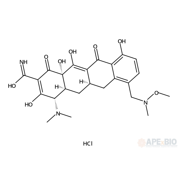 P005672 hydrochloride