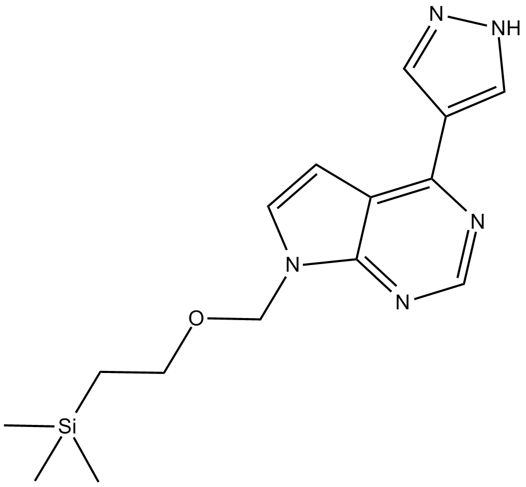 INCB032304