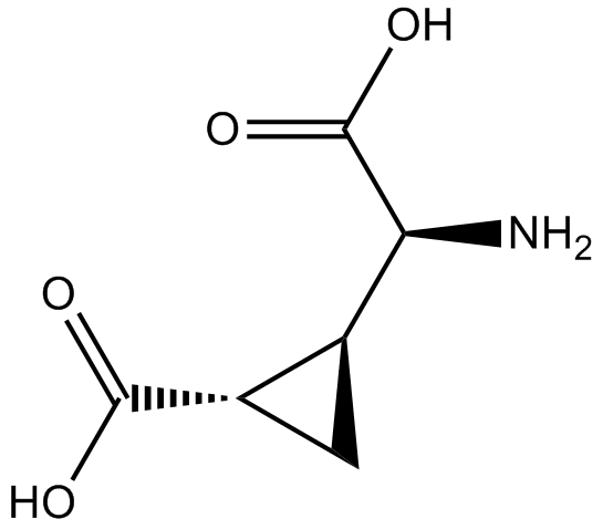 L-CCG-l