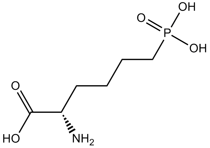 L-AP6